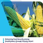 Enhancing Food Security among Smallholders through Climate-Smart Agriculture in Tanzanian Arid Regions